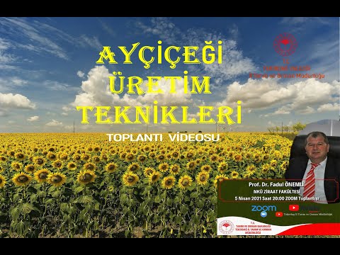 , title : 'Ayçiçeği Üretim Teknikleri _TEKİRDAĞ'