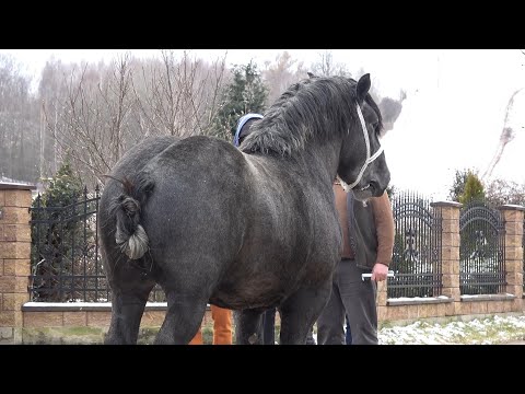 Calatorie prin Polonia cu Luci Laptaru, Sandu si Carol - 2023 Nou!!!