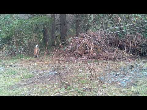 2022 1218 143224 000017