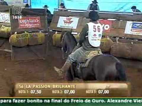03/07/2011 - Classificatória Freio de Ouro de Pato Branco (PR) na Mangueira