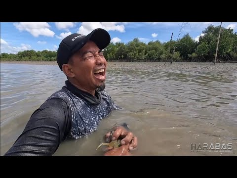 EP834-P1 - Masayang Paghahanap ng Ulam sa Putikan