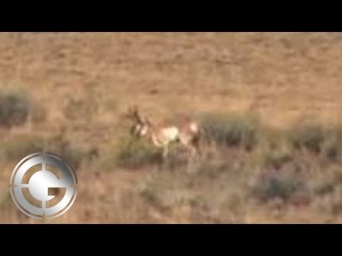 715 Yard Muzzleloader Antelope Kill Shot - Long Range Hunting