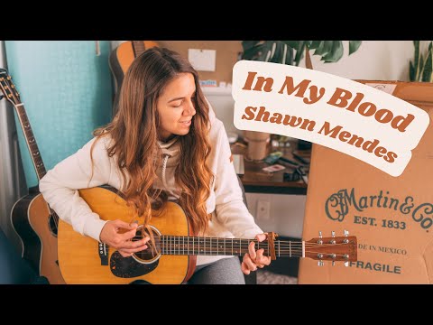 Shawn Mendes "In My Blood" | Guitar Tutorial