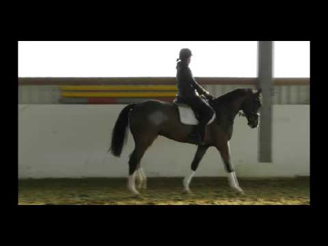 Caspar von Capistrano *2014