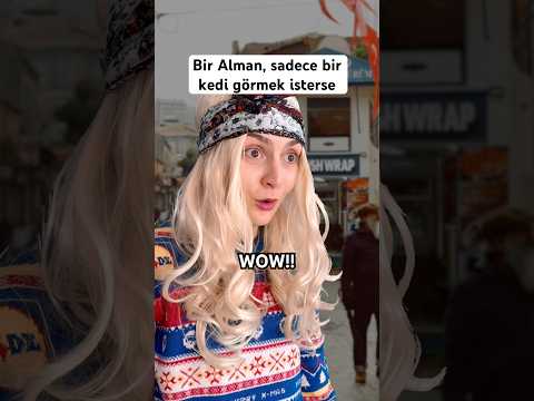 Bir Alman, sadece bir kedi görmek isterse