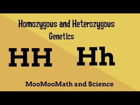 Heterozygous Vs Homozygous Expii