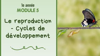 La reproduction des vivants