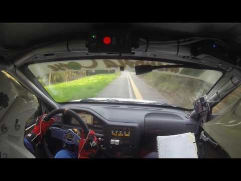 CAMERACAR  26º Rally dei Laghi 2017 Tommy Negri - Rollo Aries PS1 Colacem