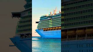 Freedom of the Seas 🛳️ #royalcaribbean #travel #cruiseship #cruise #vacation #shorts #travelshorts