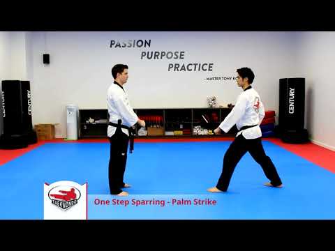 One Step Sparring  #4