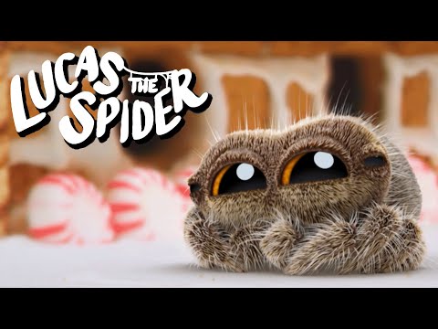 Home Sweet Home for Christmas With Lucas The Spider
