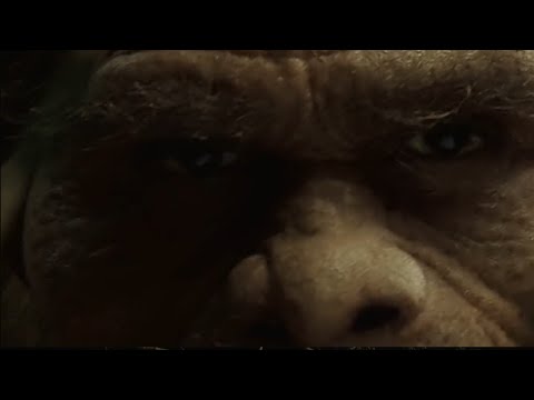 L'Homme Mystère de l'âge de Pierre | Documentaire