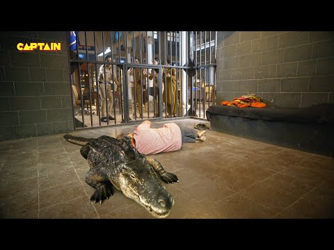 थाने वालों ने देखा Billu को जेल में मगरमच्छ के साथ सोते हुए || Maddam Sir