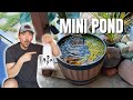 I Built A MINI POND For Under 100 Guppy Pond Setup