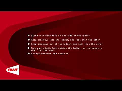 CE2M8V11 Ladder Work (Side Shuffle)