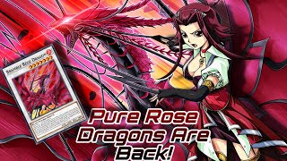 Pure Rose Dragons Are Back - Yu-Gi-Oh! MDPRO3