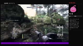 ヤクザサーバーに来てみたよっ！