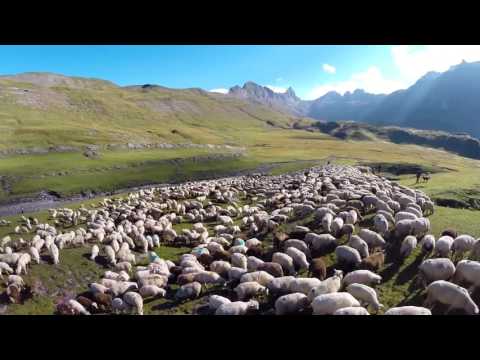 ALPZYT (ein Film von Thomas Rickenmann) | im kult.kino Basel