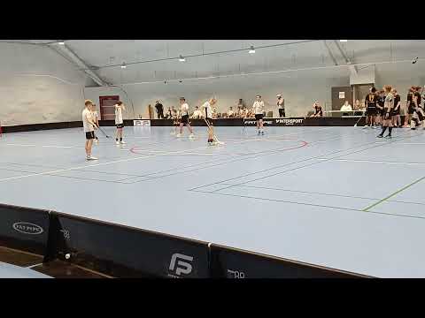 Hatsina P16 - Welhot P16