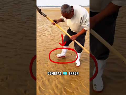 Pensó que encontraría oro… mira el final 😱#catsoftiktok #catlovers #cat #cute #fyp #shortsvideo