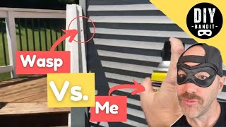 Download lagu ️🔥 Man vs. Wasp➔ 2 Easy Ways to Rid Them of Your Life Forever mp3