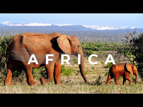 Traumreise Afrika: Namibia & Südafrika | Unsere Eindrücke einer vierwöchigen Reise