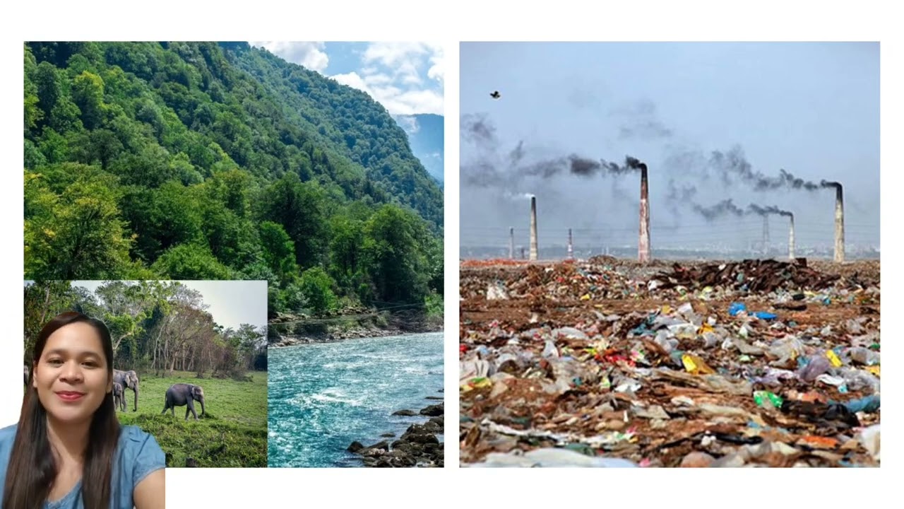 ENVIRONMENTAL SUSTAINABILITY (Environmental Science)