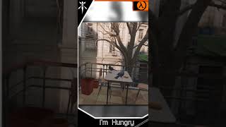 #vr I'm Hungry  #gaming #halflifealyx #highlight #pigeon