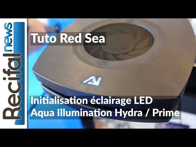 Video Pronunciation of Myai in English