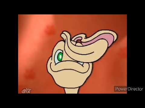 Zoboomafoo - Quem Pode Ser? - Episódio 13