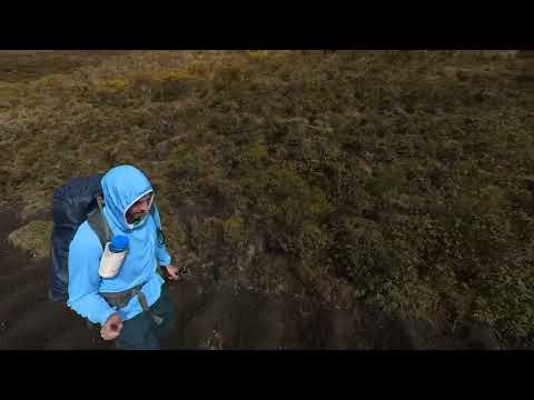 60 km 4 days hike in Cocora Valley and Los Nevados National Park (Colombia)