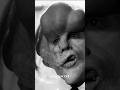 The Elephant Man emotional scene ❤️ #screenwriting  #davidlynch #anthonyhopkins
