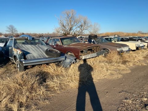 GM G Body Cars!  1978 Malibu 2 door, a 1978 Monte Carlo & a Couple of Buick Regals!