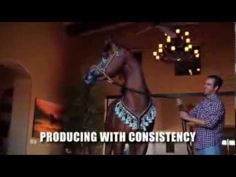 2013 Las Vegas World Cup Commercial