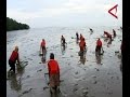 "Manongkah", Tradisi Mengambil Kerang Suku Laut Di Indragiri Hilir, Riau "Manongkah", Tradisi Mengambil Kerang Suku Laut Di Indragiri Hilir, Riau