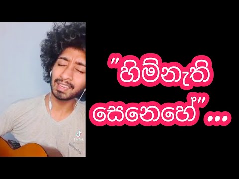 Himi Nethi senehe || හිම් නැති සෙනෙහේ || Cover by || Amisha Minol