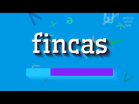 FINCAS - HOW TO PRONOUNCE FINCAS?