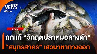 ถกแก้วิกฤตปลาหมอคางดำ "สมุทรสาคร" เสวนาหาทางออกที่ยั่งยืน | ไลฟ์วันนี้ | 16 ก.ย. 69