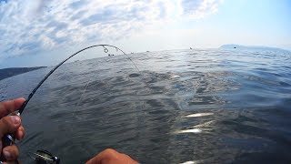 Израиль рыбалка с берега на черном море