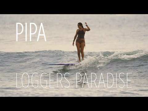 Pipa, loggers paradise