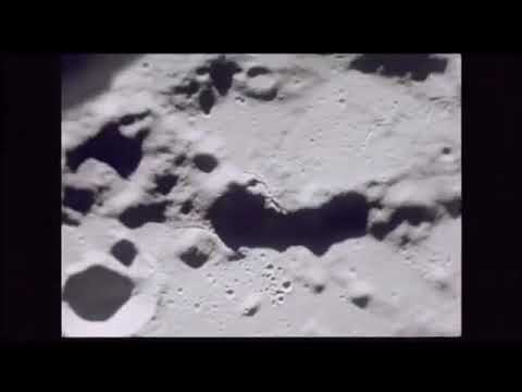 Lost Tuesday Society - Universe (OFFICIAL VIDEO)