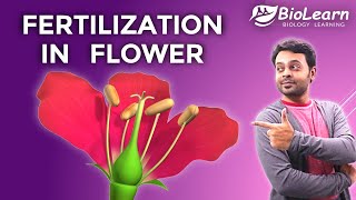 FERTILIZATION IN FLOWER | DOUBLE FERTILIZATION and TRIPLE FUSION | ICSE Class 9 Biology | BioLearn