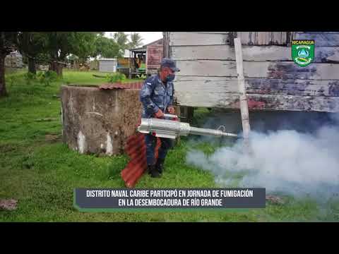 Distrito Naval Caribe participó en jornada de fumigación en la Desembocadura de Río Grande