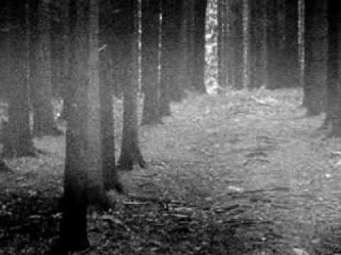 NADER/MC NADER/HUMBLE