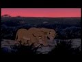 The Lion King
