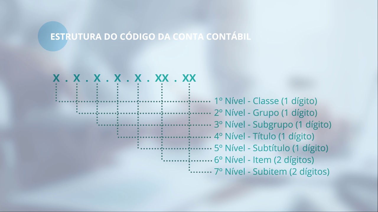 2 1 Entendendo o PCASP