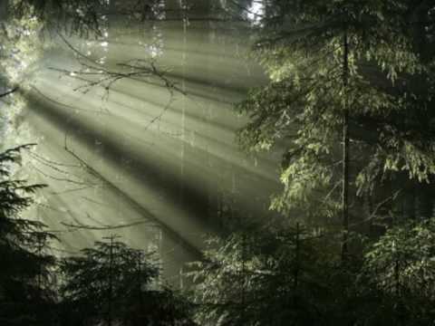 Forest Murmurs - Siegfried Act II - Wagner - Nature