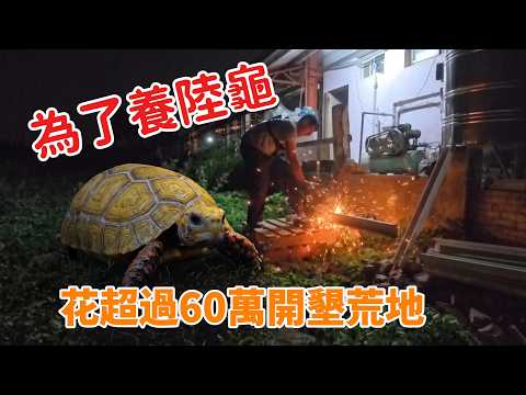 首頁影片
