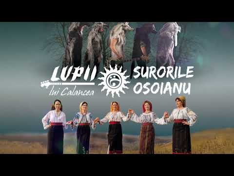 Astăzi beată, maine beată - Surorile Osoianu și LUPII lui Calancea