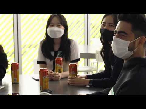 맹그로브 Mangrove
